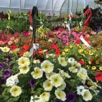 Les jardins gourmands
