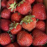 fraises