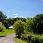 Bois belle rivière