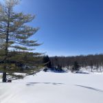 parc omega