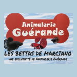 Animalerie Guérande
