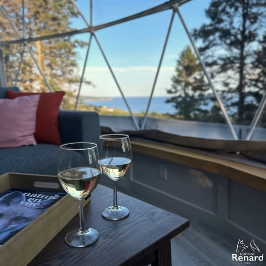 Partie de l'intérieur d'un dôme géodésique avec canapé, table et verres de vin donnant vue sur les arbres et le St-Laurent. 