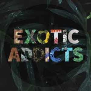 Exotic Addicts