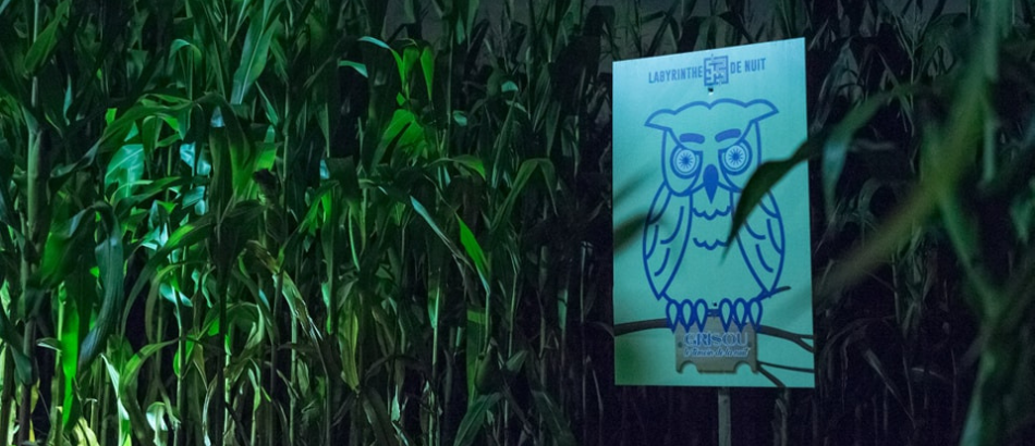 Labyrinthe hanté de soir