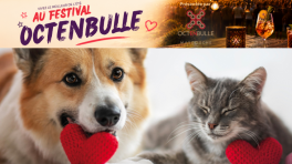 Certificat cadeau de 25$